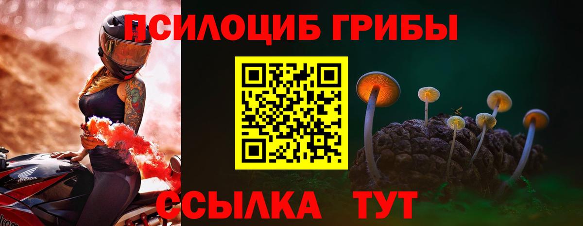 Галлюциногенные грибы мухоморы Москва
