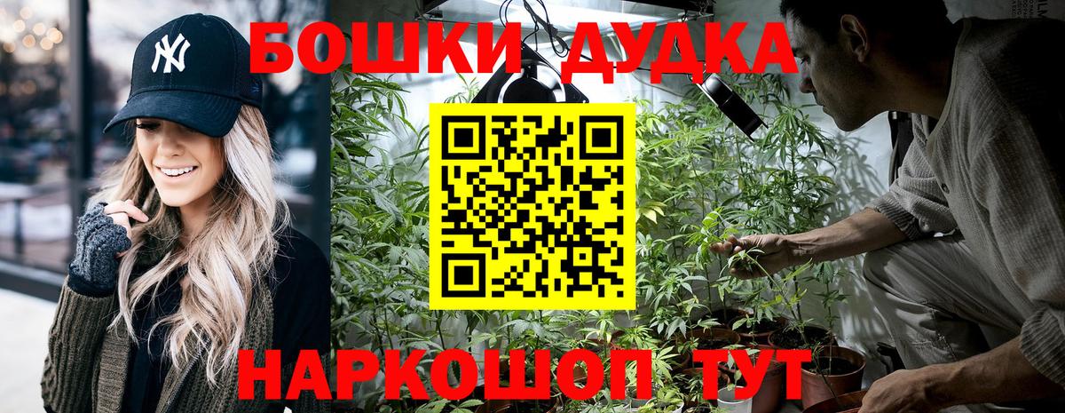 Бошки марихуана гибрид  Канабис марихуана  Вход с VPN  Конопля конопля  Москва 